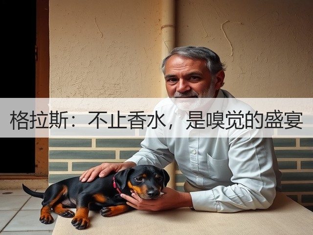 格拉斯：不止香水，是嗅觉的盛宴(图1)