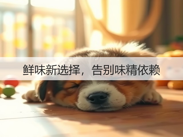 鲜味新选择，告别味精依赖(图2)