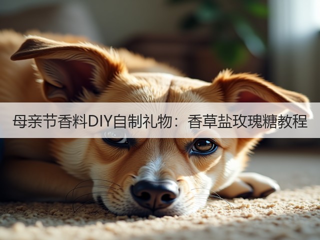母亲节香料DIY自制礼物：香草盐玫瑰糖教程(图6)