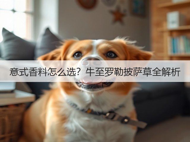 意式香料怎么选？牛至罗勒披萨草全解析(图2)