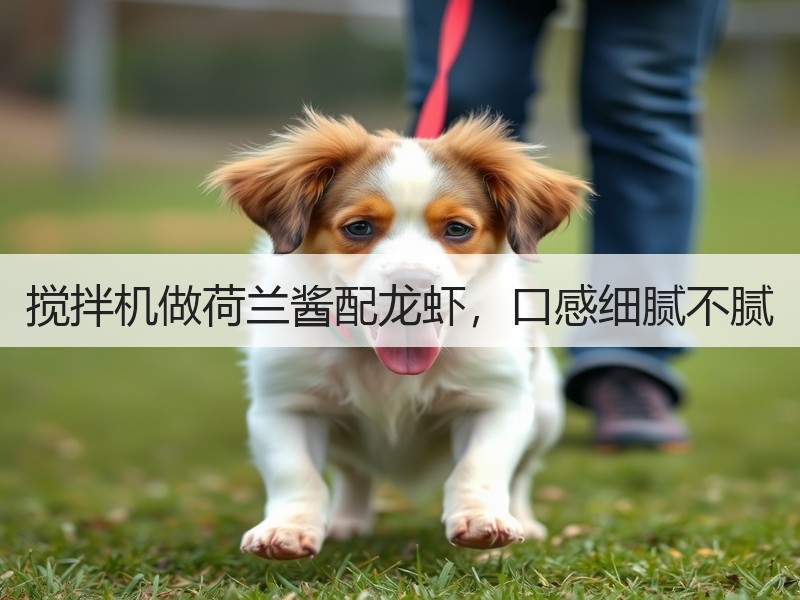 搅拌机做荷兰酱配龙虾，口感细腻不腻