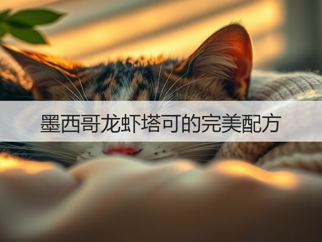 墨西哥龙虾塔可的完美配方(图2)