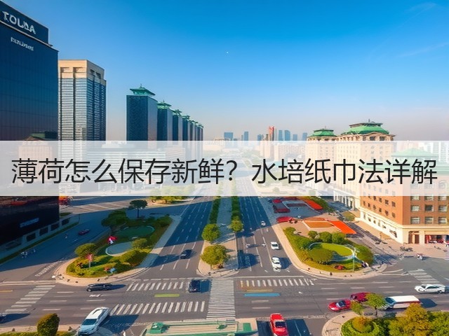 薄荷怎么保存新鲜？水培纸巾法详解(图2)
