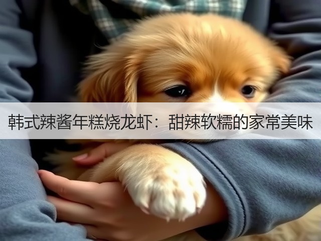 韩式辣酱年糕烧龙虾：甜辣软糯的家常美味(图1)