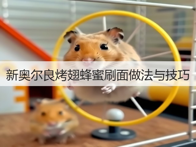 新奥尔良烤翅蜂蜜刷面做法与技巧(图3)