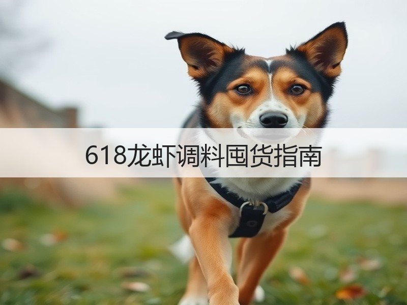 618龙虾调料囤货指南