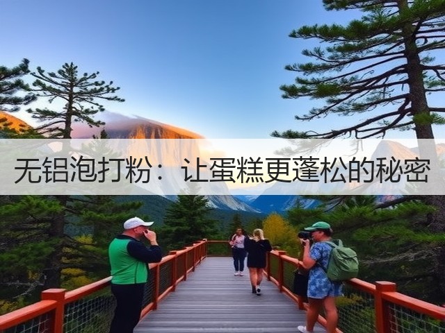 无铝泡打粉：让蛋糕更蓬松的秘密(图1)