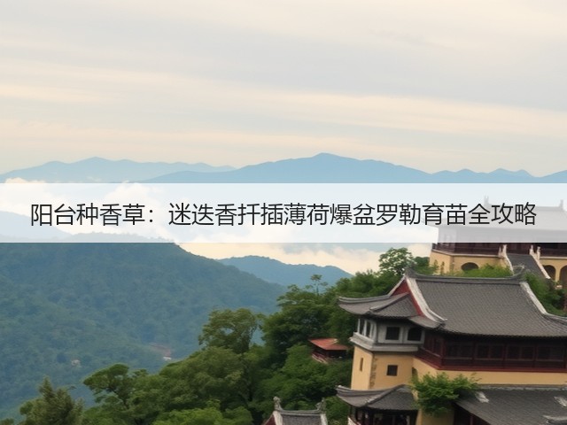 阳台种香草：迷迭香扦插薄荷爆盆罗勒育苗全攻略(图2)