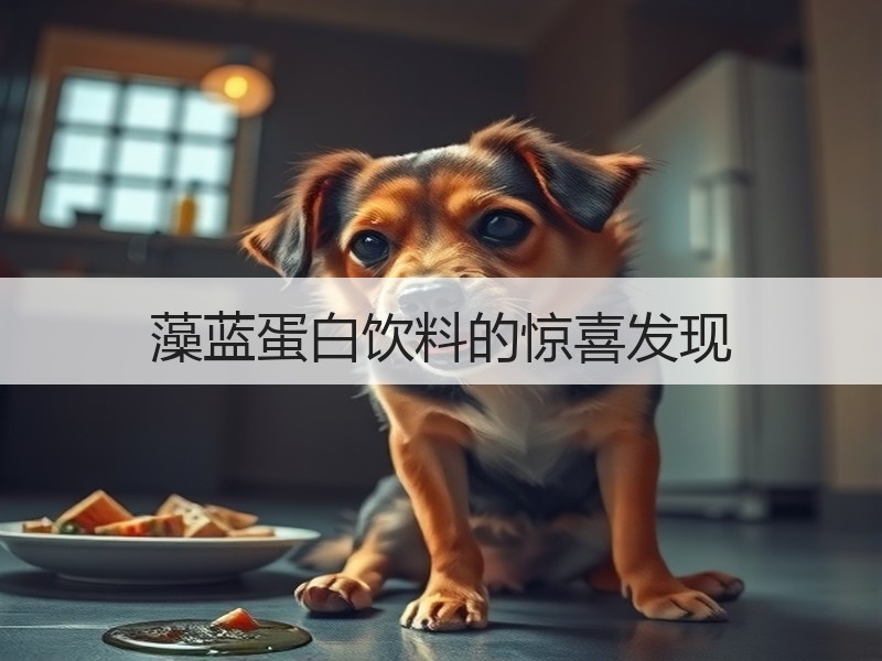 藻蓝蛋白饮料的惊喜发现