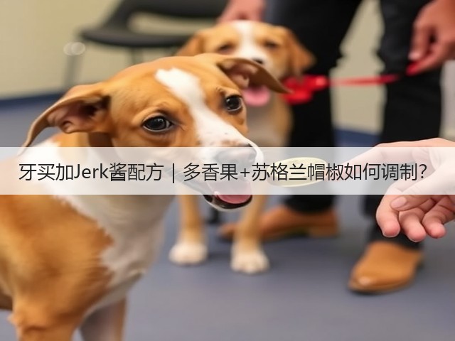 牙买加Jerk酱配方｜多香果+苏格兰帽椒如何调制？(图2)