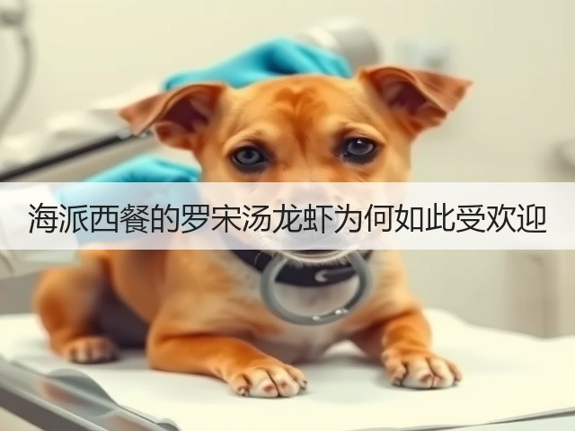海派西餐的罗宋汤龙虾为何如此受欢迎(图2)
