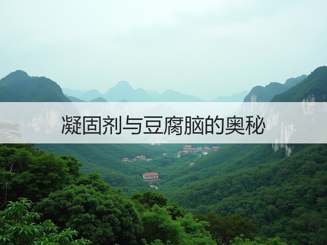 凝固剂与豆腐脑的奥秘(图1)