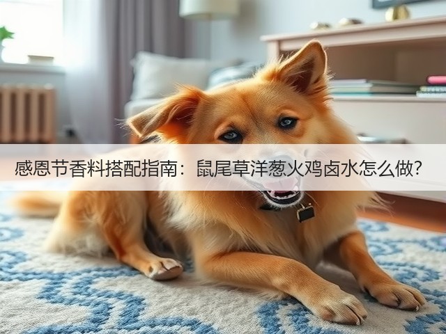 感恩节香料搭配指南：鼠尾草洋葱火鸡卤水怎么做？(图2)