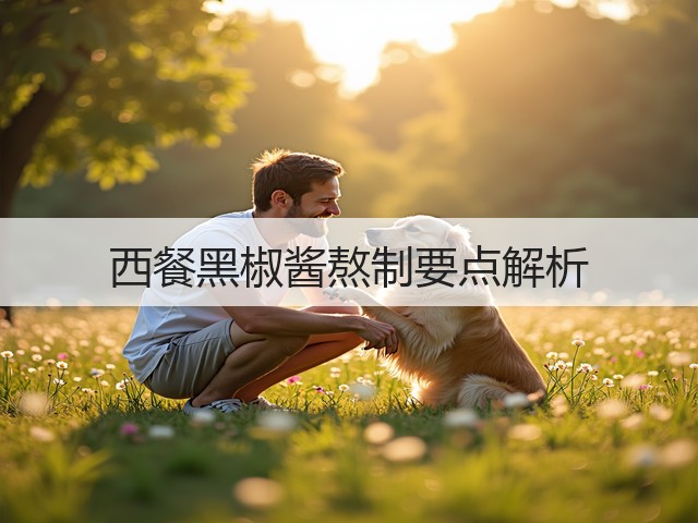西餐黑椒酱熬制要点解析(图3)
