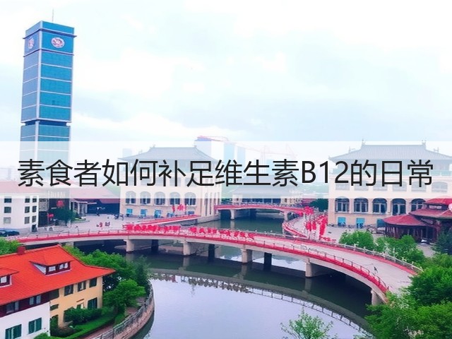 素食者如何补足维生素B12的日常(图2)