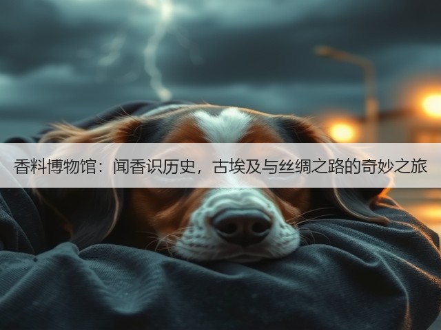 香料博物馆：闻香识历史，古埃及与丝绸之路的奇妙之旅(图4)