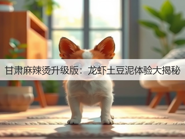 甘肃麻辣烫升级版：龙虾土豆泥体验大揭秘(图2)