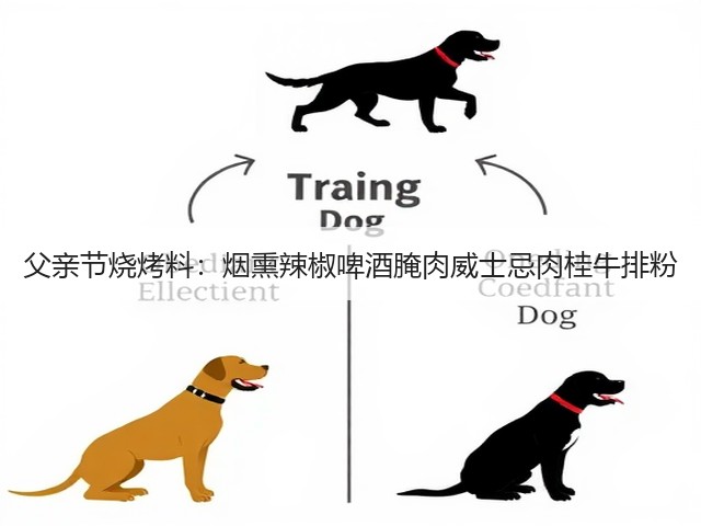 父亲节烧烤料：烟熏辣椒啤酒腌肉威士忌肉桂牛排粉(图3)