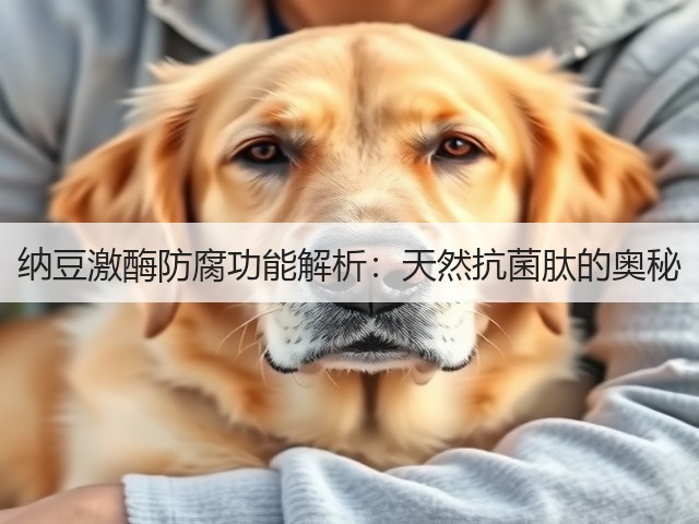 纳豆激酶防腐功能解析：天然抗菌肽的奥秘(图3)