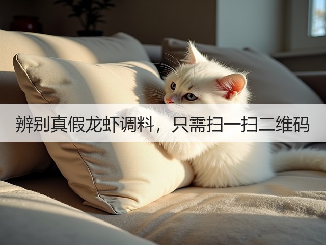 辨别真假龙虾调料，只需扫一扫二维码(图3)