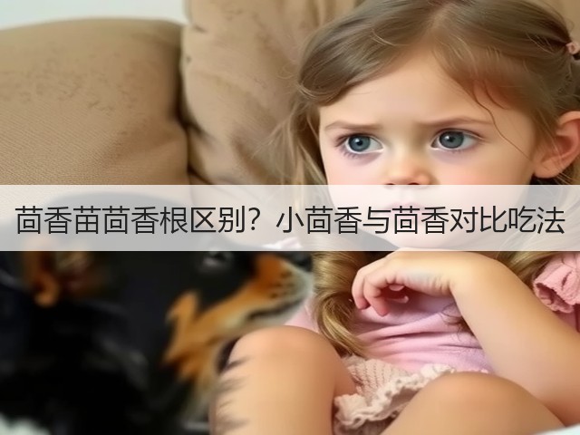 茴香苗茴香根区别？小茴香与茴香对比吃法(图3)