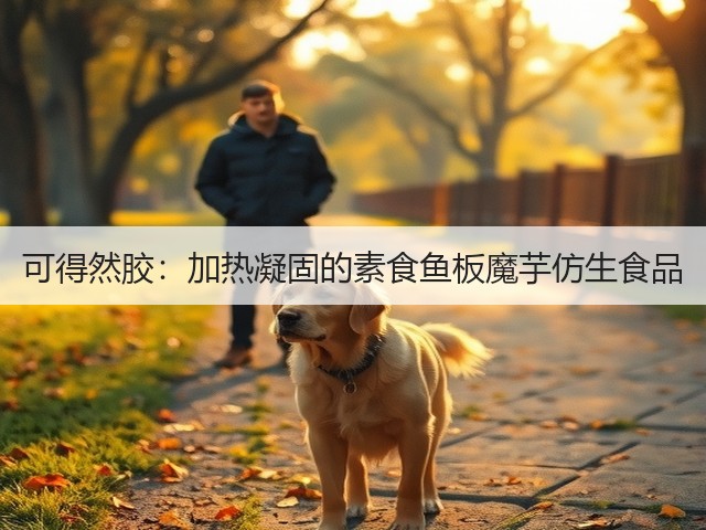 可得然胶：加热凝固的素食鱼板魔芋仿生食品(图2)