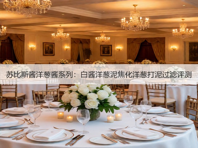 苏比斯酱洋葱酱系列：白酱洋葱泥焦化洋葱打泥过滤评测(图3)
