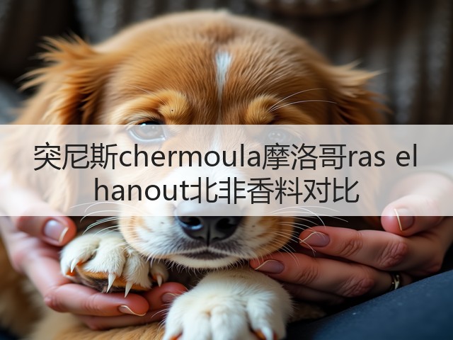 突尼斯chermoula摩洛哥ras el hanout北非香料对比(图4)