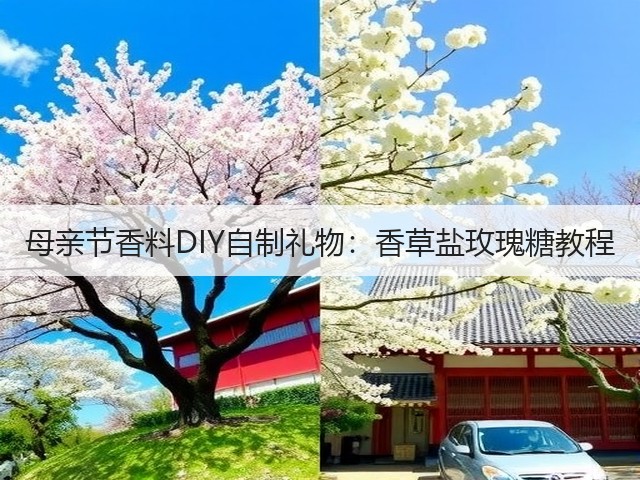 母亲节香料DIY自制礼物：香草盐玫瑰糖教程(图2)