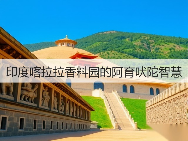 印度喀拉拉香料园的阿育吠陀智慧(图2)