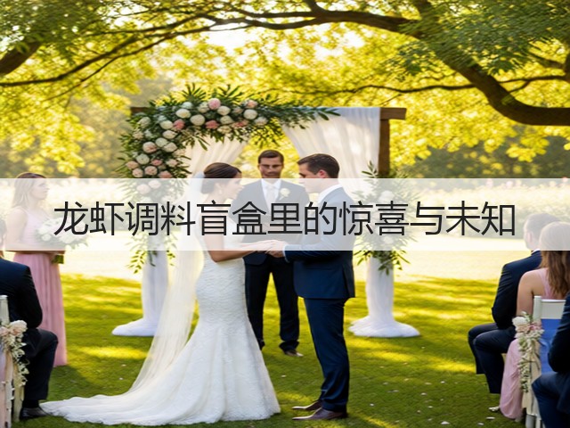 龙虾调料盲盒里的惊喜与未知(图2)