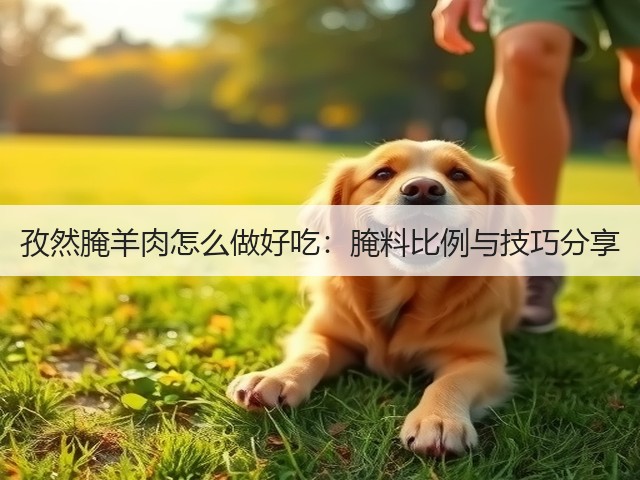 孜然腌羊肉怎么做好吃：腌料比例与技巧分享(图2)