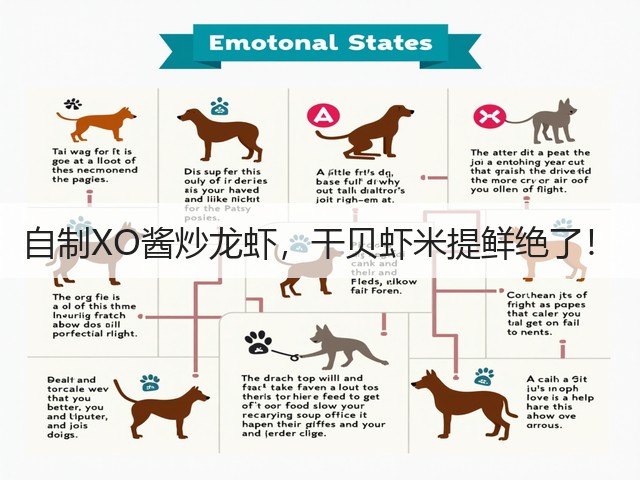 自制XO酱炒龙虾，干贝虾米提鲜绝了！(图3)