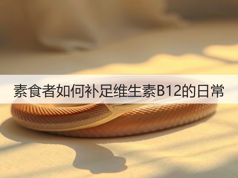 素食者如何补足维生素B12的日常
