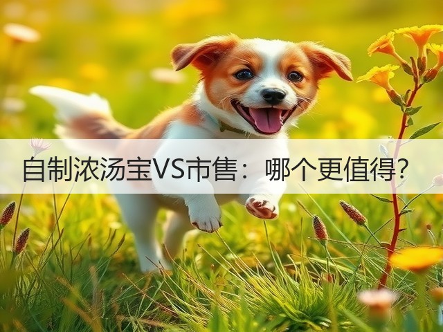 自制浓汤宝VS市售：哪个更值得？(图3)