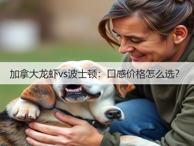加拿大龙虾vs波士顿：口感价格怎么选？(图3)