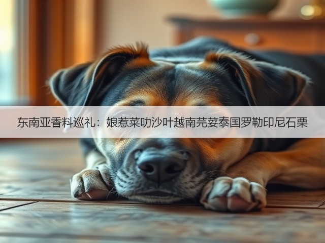 东南亚香料巡礼：娘惹菜叻沙叶越南芫荽泰国罗勒印尼石栗(图5)