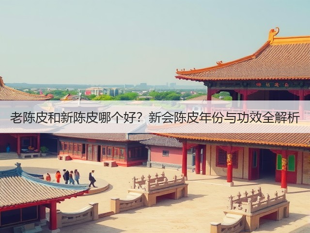 老陈皮和新陈皮哪个好？新会陈皮年份与功效全解析(图3)