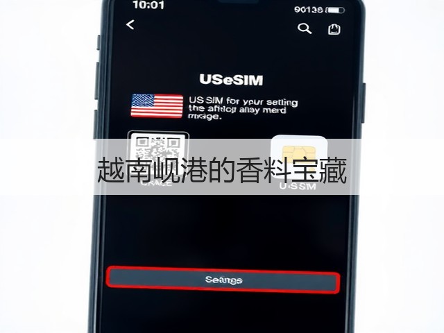 越南岘港的香料宝藏(图3)