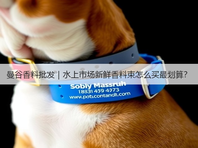 曼谷香料批发｜水上市场新鲜香料束怎么买最划算？(图3)