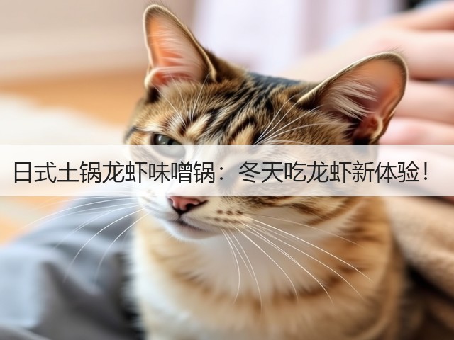 日式土锅龙虾味噌锅：冬天吃龙虾新体验！(图2)