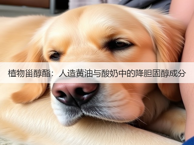 植物甾醇酯：人造黄油与酸奶中的降胆固醇成分(图1)
