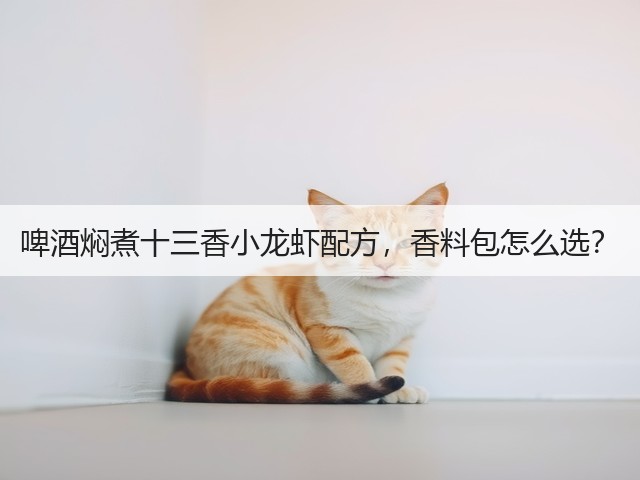 啤酒焖煮十三香小龙虾配方，香料包怎么选？(图3)