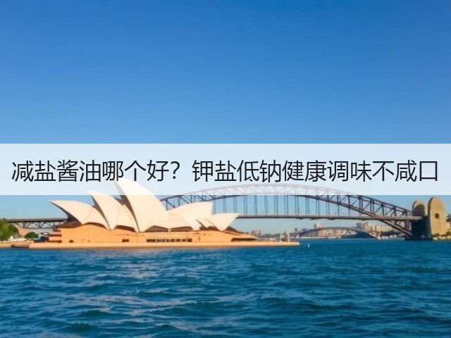 减盐酱油哪个好？钾盐低钠健康调味不咸口(图1)