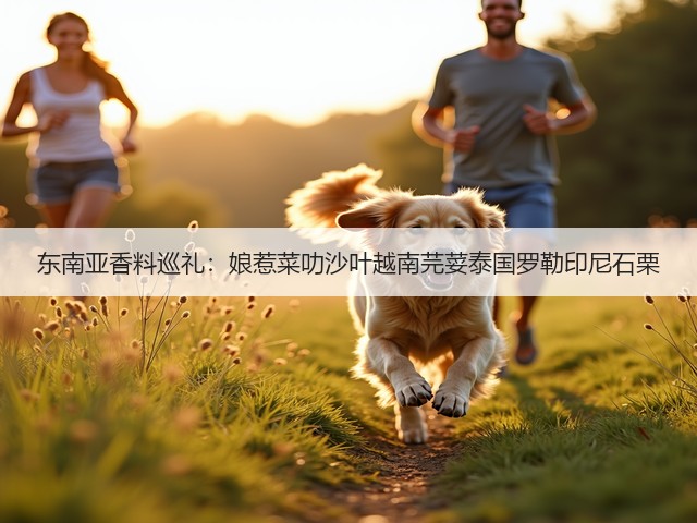 东南亚香料巡礼：娘惹菜叻沙叶越南芫荽泰国罗勒印尼石栗(图2)