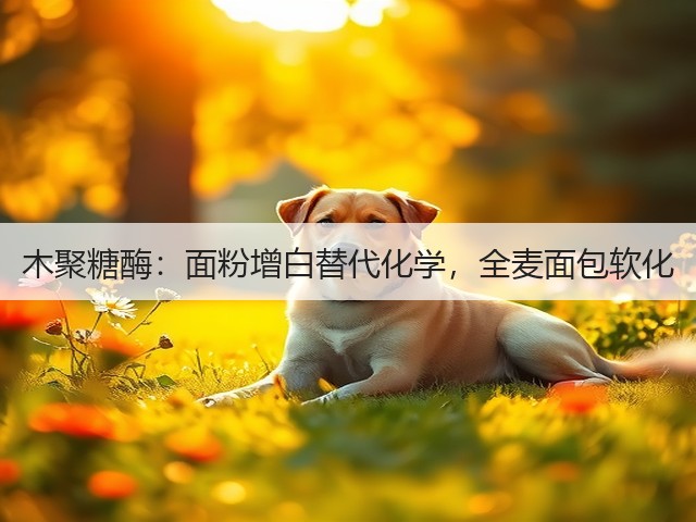 木聚糖酶：面粉增白替代化学，全麦面包软化(图3)