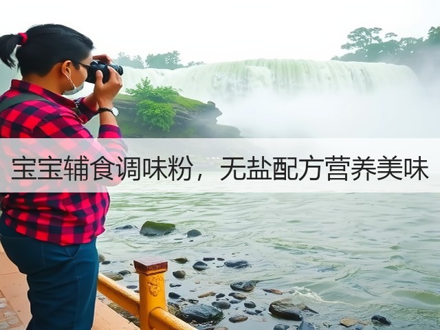 宝宝辅食调味粉，无盐配方营养美味(图3)