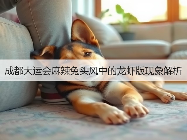 成都大运会麻辣兔头风中的龙虾版现象解析(图2) 成都大运会麻辣兔头风中的龙虾版现象解析(图2)