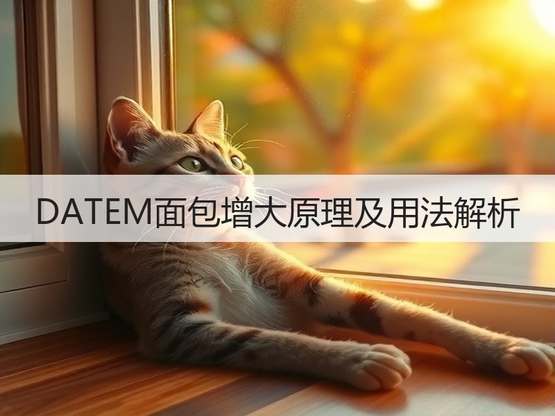 DATEM面包增大原理及用法解析
