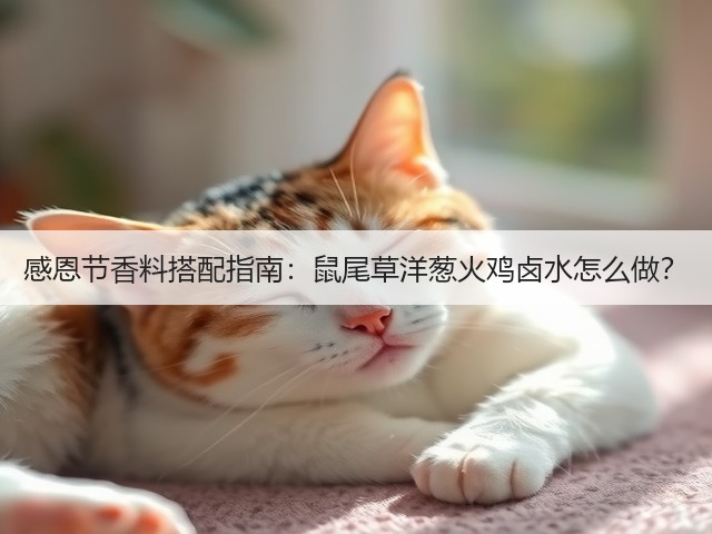 感恩节香料搭配指南:鼠尾草洋葱火鸡卤水怎么做?(图1) 感恩节香料搭配指南:鼠尾草洋葱火鸡卤水怎么做?(图1)